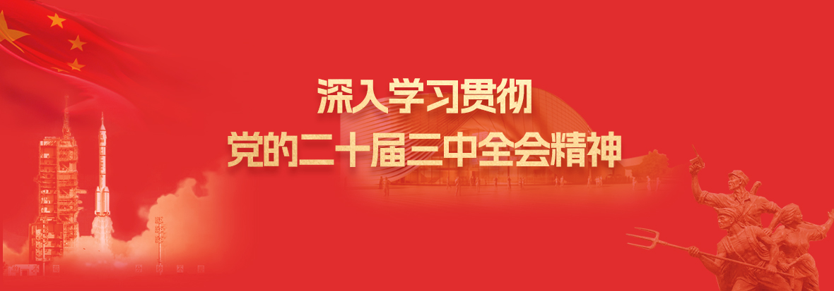 深入学习贯彻党的二十届三中全会精神